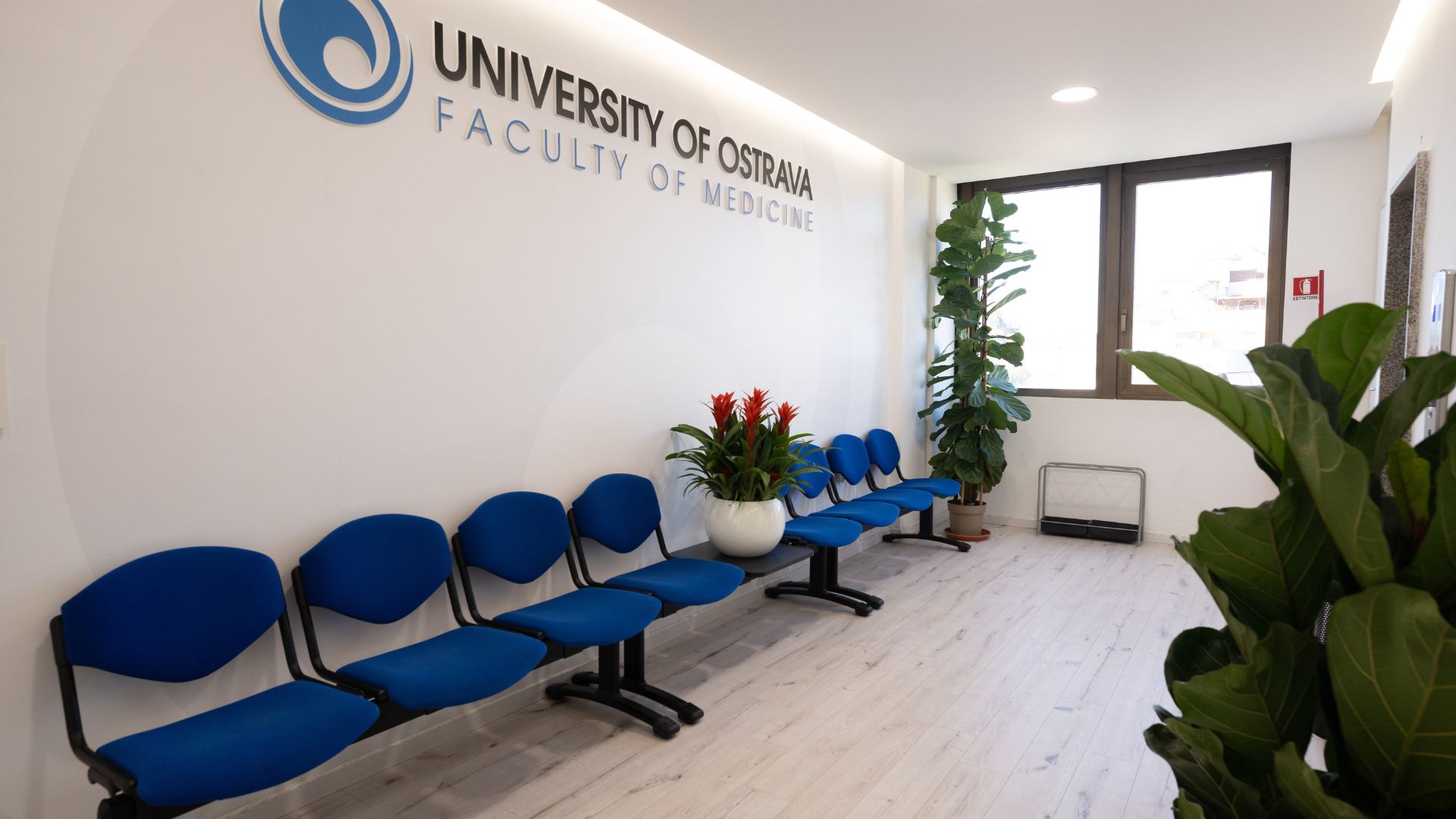 ingresso-universita-ostrava-facolta-medicina-roma